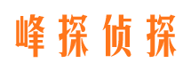 田林侦探